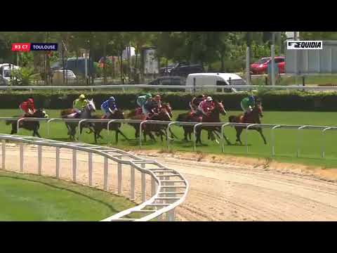 01/06 TOULOUSE: Prix Norniz