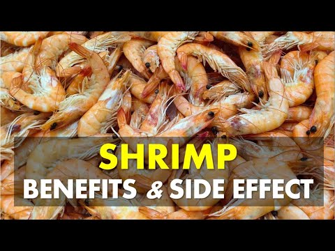 , title : 'Shrimp Benefits and Side Effects, Shrimp Is Low in Calories Rich in Nutrients