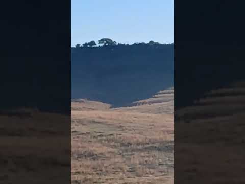 cerro Batovi.tacuarembo Uruguay