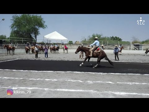 C17P1 EL CAMINO AL FUTURITY VIP - Jesús "Kíkiras" Castañeda