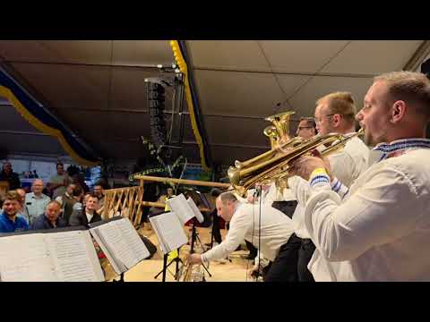 Dunajska Kapela - Mariechen polka | Fest der Blasmusik Neualbenreuth 2025