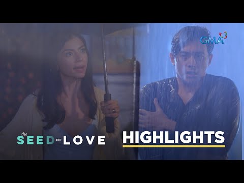 The Seed of Love: The cheater husband begs for his wife’s forgiveness (Episode 26)