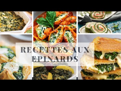 Spinach and Fresh Salmon Crepes