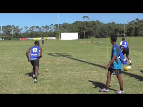 Passing Agility Poles At Top Speed