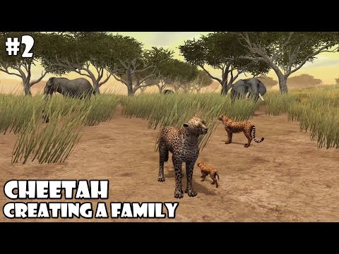Ultimate Savanna Simulator - Cheetah -Creating a Family- Android/iOS - Gameplay Part 2