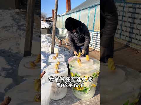 东北农村猫冬生活干半年休息半年，一天要睡12个小时，你敢相信吗，作为全国天黑最早的地区，我们这下午三点多就开始天黑，在我们这里没有夜生活，一天闲着没啥事都干点啥#农村生活#东北农村……