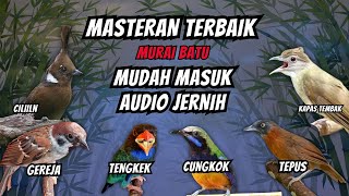 Download lagu Masteran Burung Fighter Full Isian Tembakan Kasar Panjang mp3