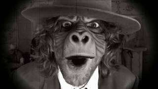 MALACHAI: shitkicker