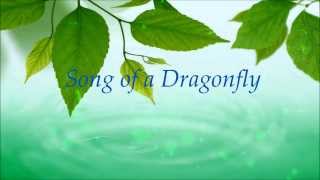 Song of a Dragonfly