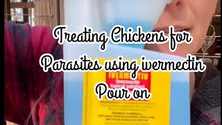 Ivermectin pour on for chickens! Treats mites, lice and intestinal parasites!