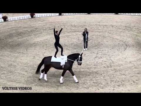 FEI Vaulting World Cup Final Basel 2024 - Alina Ross GER - Tech Test