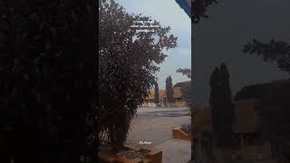 Download lagu STORY WA BUCIN TERBARU 2022 || KATA - KATA BIJAK || STORY WA KEKINIAN 💥 mp3