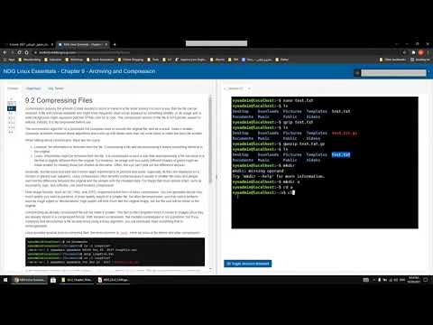 Linux Essential Lecture 5