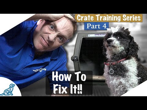 Crate Training Isn't Working - Crate Training Part 4 - Professional Dog Training Tips