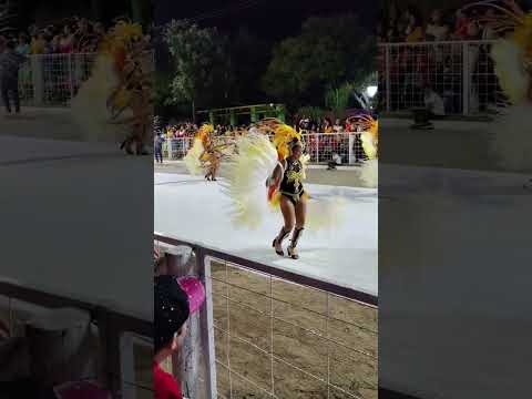 Un pequeño video de lo que fué Acuario 88, Ibarreta - Formosa, Capital Provincial Del Carnaval.