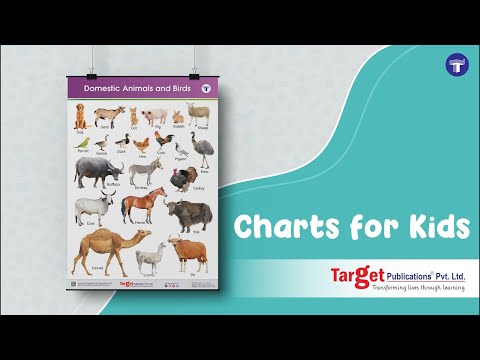 Domestic Animals & Birds Chart for Kids |Early Learning Poster for ...