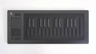 Seaboard RISE - Featured 3rd Party Sounds