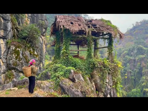 single mother discovers an abandoned house on a cliff in the deep forest her life changes forever