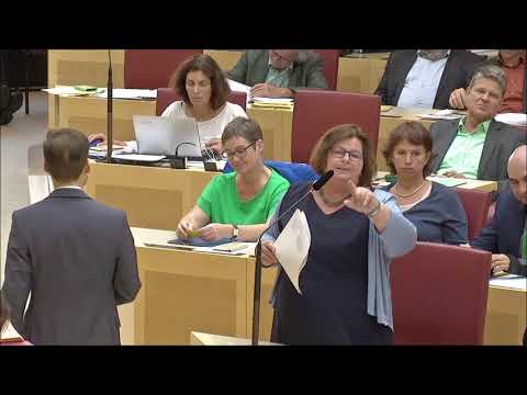 26.06.2018 im Landtag: Antworten auf Zwischenbemerkungen