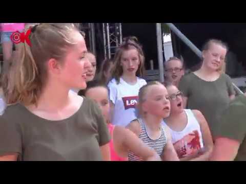 Zonovergoten jaarmarkt in Haastrecht