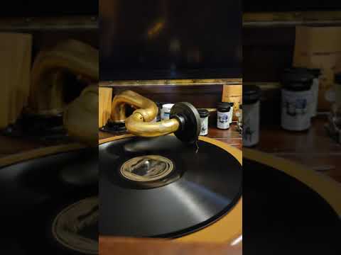 Caressing You - Meyer Davis Swanee Syncopaters Brunswick Records 4179 1929