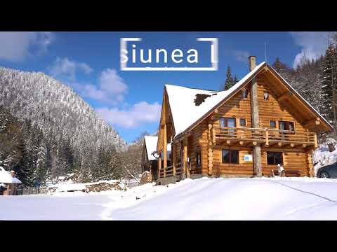 Pensiunea Larix  | Răchițele