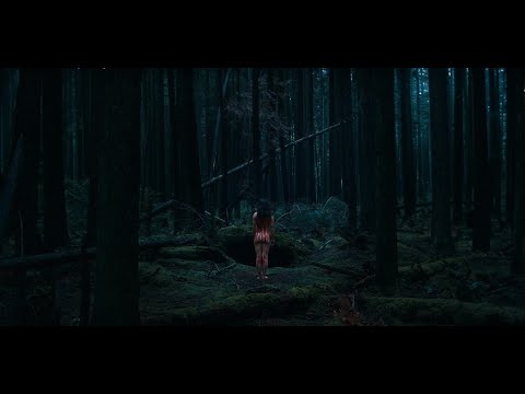 Video $Within