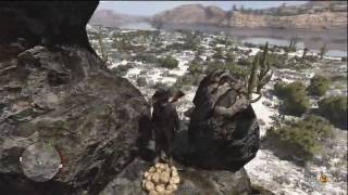 Red Dead Redemption Hidden Treasure Rank #5 (Brown's Gold)