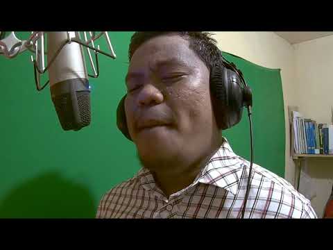 A Whole New World Cover by: Juju Bells