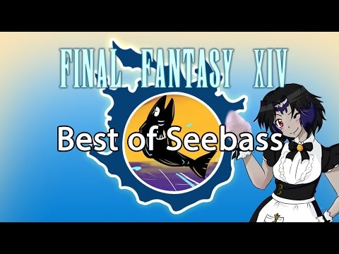 Best of Seebass (a NEST Heavensward Compilation)