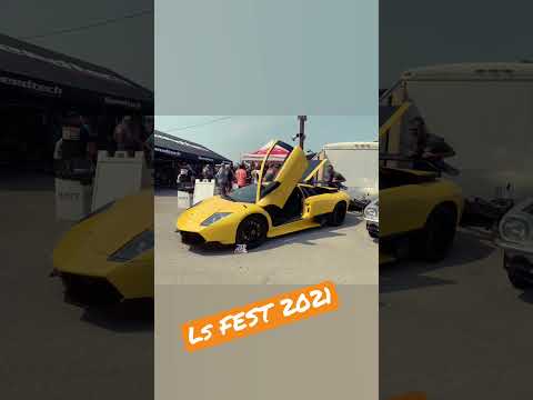 LS FEST 2021! we will be back 2023! thumbnail
