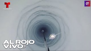 Aparecen misteriosas criaturas marinas debajo del hielo de la Antártida