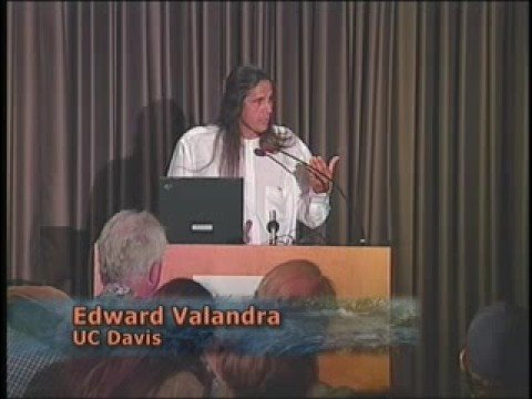 On Salmon and Tribes