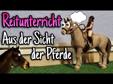 Reitstunde aus der Sicht der Pferde 👀🐴 | Reitunterricht #1