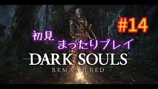 DARK　SOULSまったりプレイ14