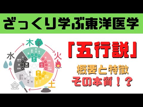 五行 體の部位