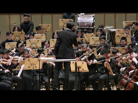 Harry Potter Symphonic Suite for Orchestra