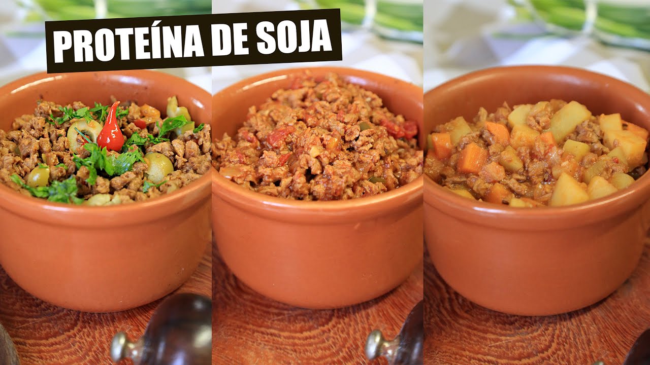 3 VERSÕES DE PROTEÍNA DE SOJA | COMO FAZER A PTS PERFEITA | TNM Vegg