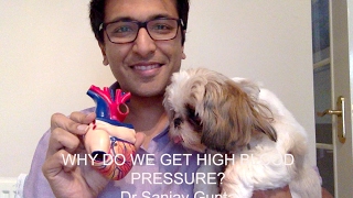 Why do we get high blood pressure?