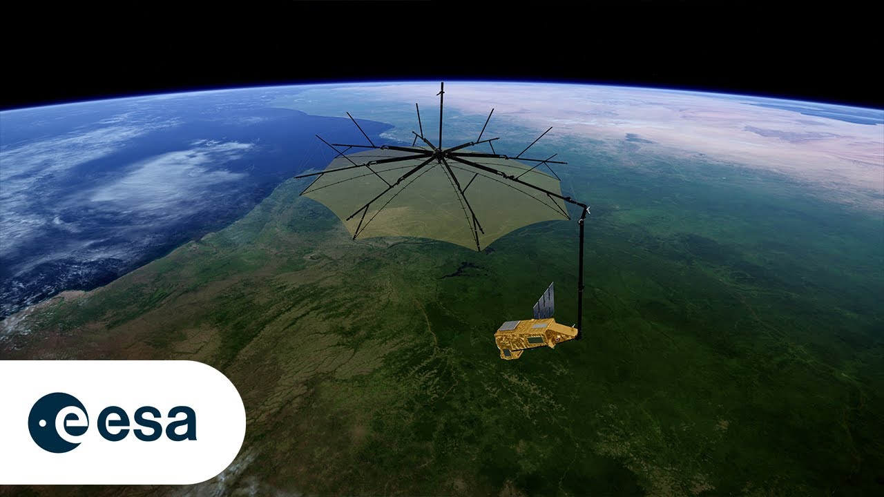 Biomass counts biomass