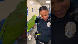 Download lagu Flirty Parrot Gets Jealous Cat MAD at Police Station 😂🦜🐱 mp3 Download lagu Flirty Parrot Gets Jealous Cat MAD at Police Station 😂🦜🐱 mp3