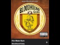 Bloodhound Gang - Fire water burn (explicit) 