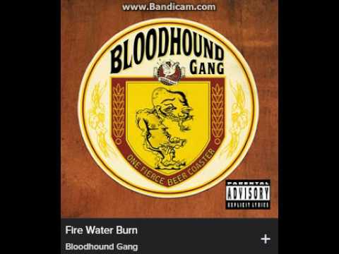 Bloodhound Gang - Fire water burn (explicit)