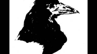 Maître corbeau, oiseau de malheur ? (histoire des animaux