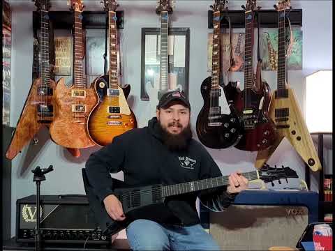Black Diamond X-pro Jericho Guitar w/case image 9