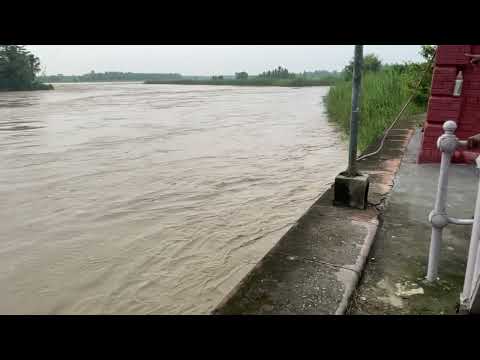 Dunedam par pane hi pane#travel #viralvideo#shortvideo#travelvideo 🥺🌴🥺🌿🌴