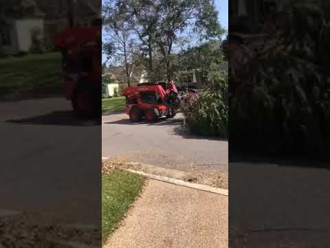 J&B's Tree Service job video thumbnail