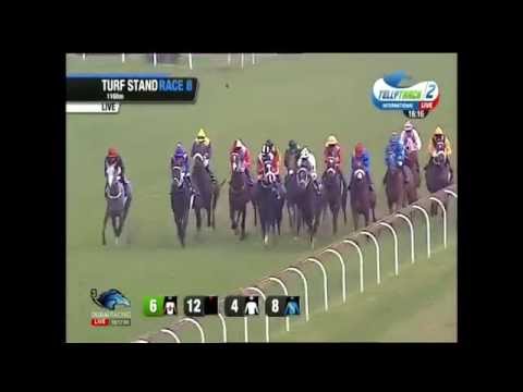 2015.04.04 Sycamore Sprint (RSA) - Tzigane