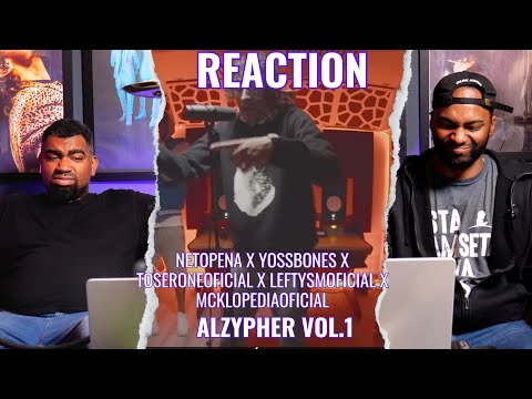 Alzypher Vol 1 | Reaction