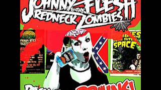 Johnny flesh and the redneck zombies-wonderful life